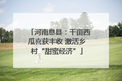 河南息县：千亩西瓜喜获丰收 激活乡村“甜蜜经济”