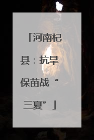 河南杞县：抗旱保苗战“三夏”