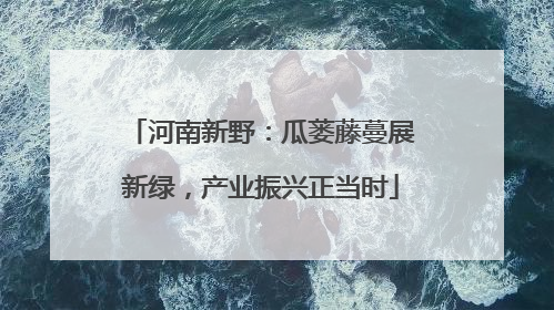 河南新野：瓜蒌藤蔓展新绿，产业振兴正当时