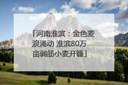 河南淮滨：金色麦浪涌动 淮滨80万亩弱筋小麦开镰