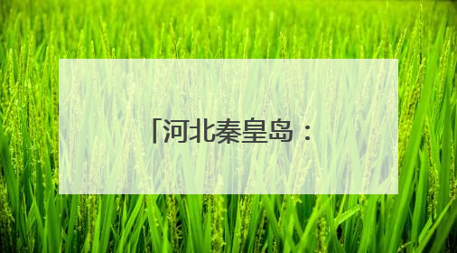 河北秦皇岛：赛事引领 打造体育新名片