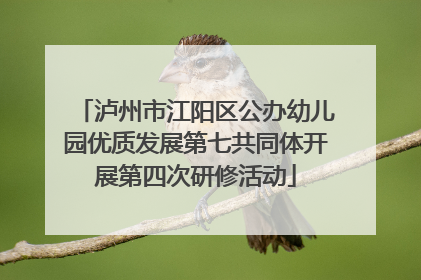 泸州市江阳区公办幼儿园优质发展第七共同体开展第四次研修活动