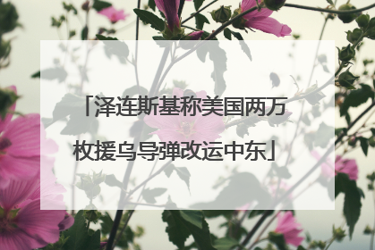 泽连斯基称美国两万枚援乌导弹改运中东