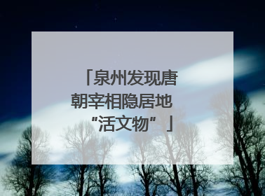 泉州发现唐朝宰相隐居地“活文物”