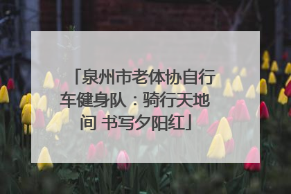 泉州市老体协自行车健身队：骑行天地间 书写夕阳红