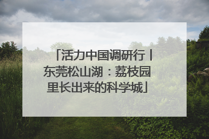 活力中国调研行丨东莞松山湖：荔枝园里长出来的科学城