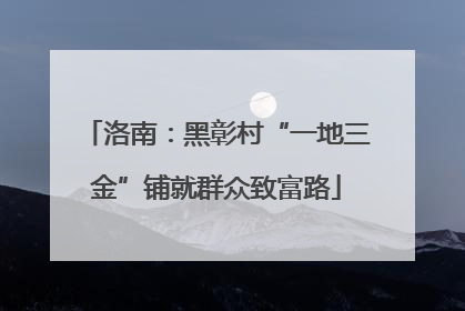 洛南：黑彰村“一地三金”铺就群众致富路