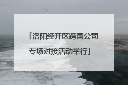 洛阳经开区跨国公司专场对接活动举行