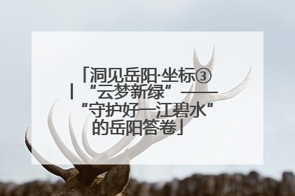 洞见岳阳·坐标③丨“云梦新绿”——“守护好一江碧水”的岳阳答卷
