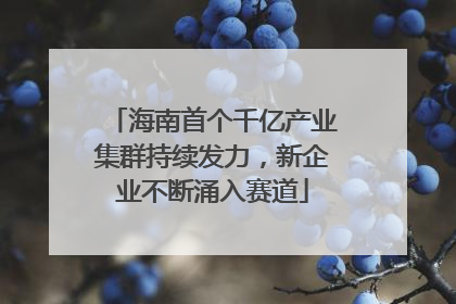 海南首个千亿产业集群持续发力，新企业不断涌入赛道