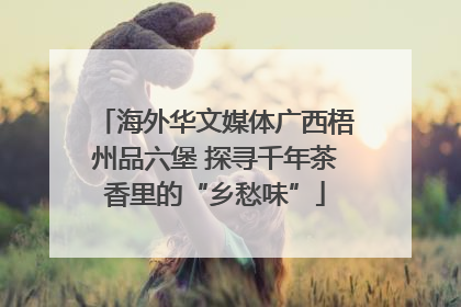 海外华文媒体广西梧州品六堡 探寻千年茶香里的“乡愁味”