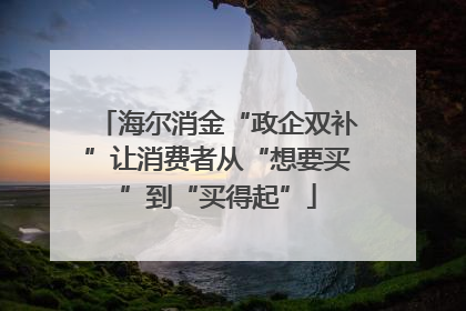 海尔消金“政企双补”让消费者从“想要买”到“买得起”