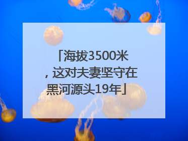 海拔3500米，这对夫妻坚守在黑河源头19年