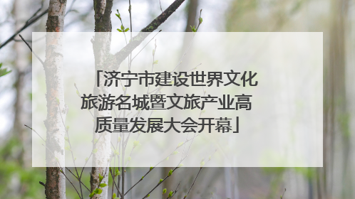 济宁市建设世界文化旅游名城暨文旅产业高质量发展大会开幕