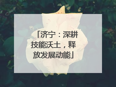 济宁：深耕技能沃土，释放发展动能