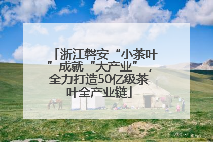 浙江磐安“小茶叶”成就“大产业”，全力打造50亿级茶叶全产业链