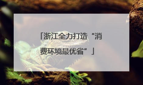 浙江全力打造“消费环境最优省”