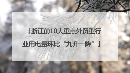 浙江前10大重点外贸型行业用电量环比“九升一降”