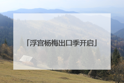 浮宫杨梅出口季开启