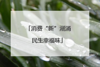 消费“新”潮涌 民生幸福味