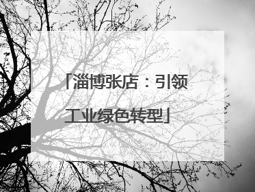 淄博张店：引领工业绿色转型