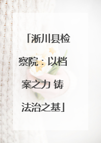 淅川县检察院：以档案之力 铸法治之基