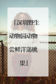 深圳野生动物园动物尝鲜洋蒲桃果