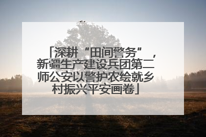 深耕“田间警务”，新疆生产建设兵团第二师公安以警护农绘就乡村振兴平安画卷