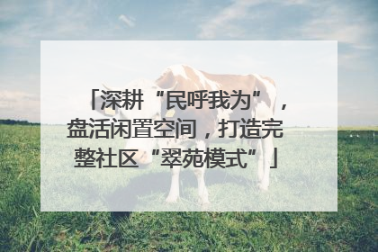 深耕“民呼我为”，盘活闲置空间，打造完整社区“翠苑模式”