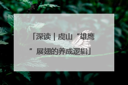 深读｜虞山“雄鹰”展翅的养成逻辑
