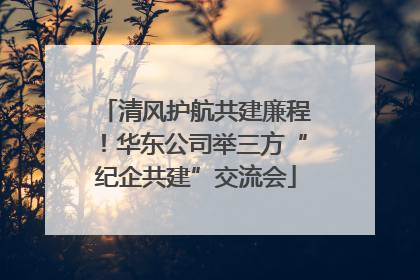 清风护航共建廉程！华东公司举三方“纪企共建”交流会