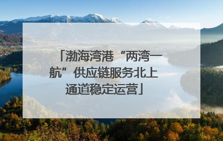 渤海湾港“两湾一航”供应链服务北上通道稳定运营