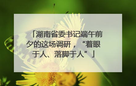湖南省委书记端午前夕的这场调研，“着眼于人、落脚于人”