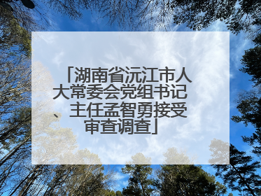 湖南省沅江市人大常委会党组书记、主任孟智勇接受审查调查
