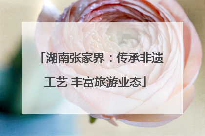 湖南张家界：传承非遗工艺 丰富旅游业态