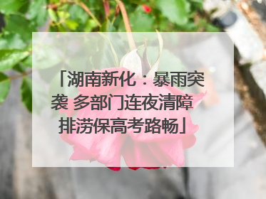 湖南新化：暴雨突袭 多部门连夜清障排涝保高考路畅