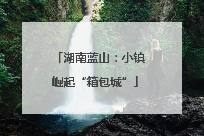 湖南蓝山：小镇崛起“箱包城”