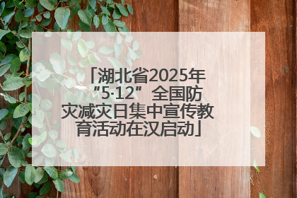 湖北省2025年“5·12”全国防灾减灾日集中宣传教育活动在汉启动