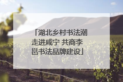 湖北乡村书法潮走进咸宁 共商李邕书法品牌建设