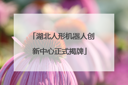 湖北人形机器人创新中心正式揭牌