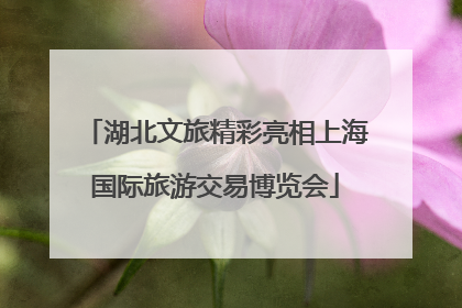 湖北文旅精彩亮相上海国际旅游交易博览会