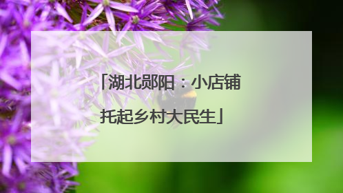 湖北郧阳：小店铺托起乡村大民生