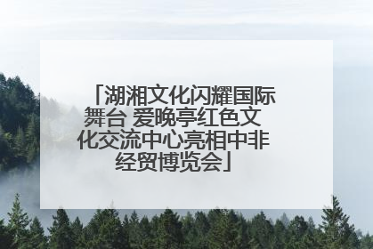 湖湘文化闪耀国际舞台 爱晚亭红色文化交流中心亮相中非经贸博览会