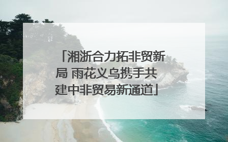 湘浙合力拓非贸新局 雨花义乌携手共建中非贸易新通道
