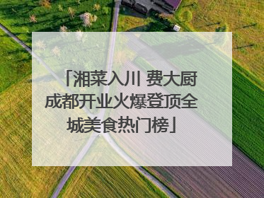 湘菜入川 费大厨成都开业火爆登顶全城美食热门榜