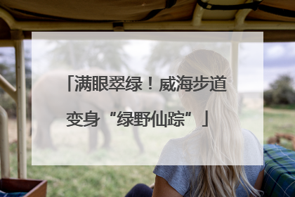 满眼翠绿！威海步道变身“绿野仙踪”