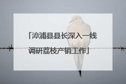 漳浦县县长深入一线调研荔枝产销工作
