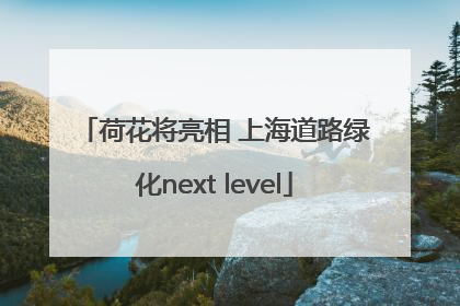 荷花将亮相 上海道路绿化next level