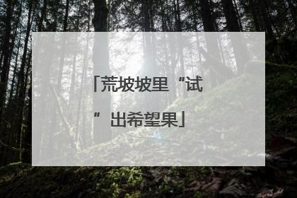 荒坡坡里“试”出希望果