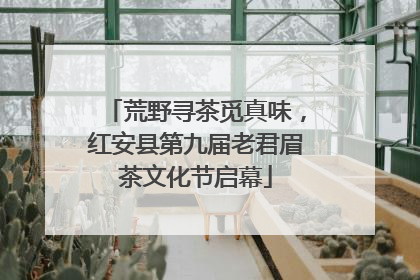 荒野寻茶觅真味，红安县第九届老君眉茶文化节启幕